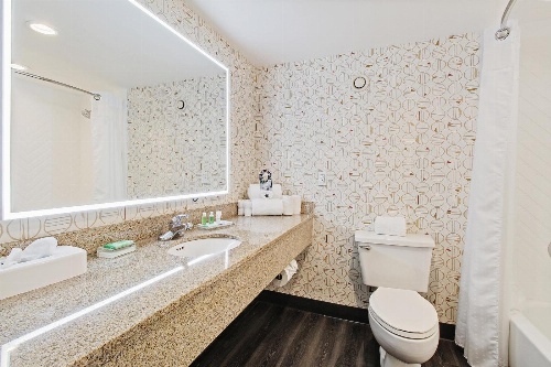 Holiday Inn Chicago Northwest/Crystal Lake/Convention Center image 4